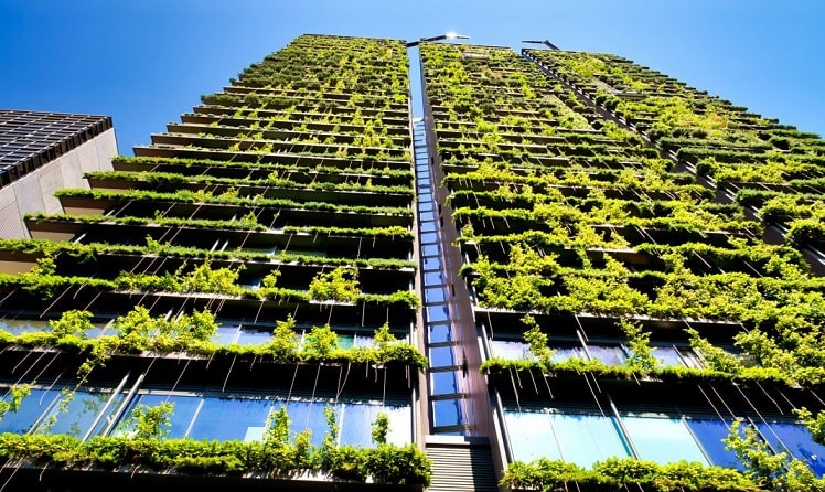 Façade d'immeuble végétalisé anti pollution